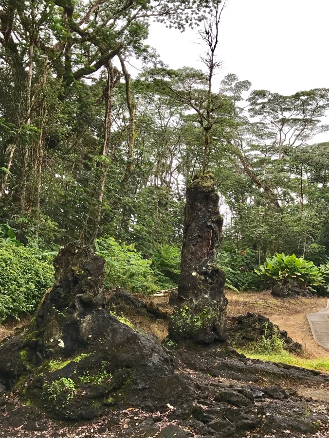 8ce3efdc-901b-466f-80ea-101be233dd30