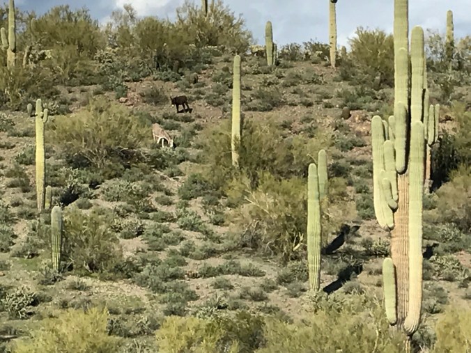 2b0e4d37-4670-4092-a8e3-199e4001494c