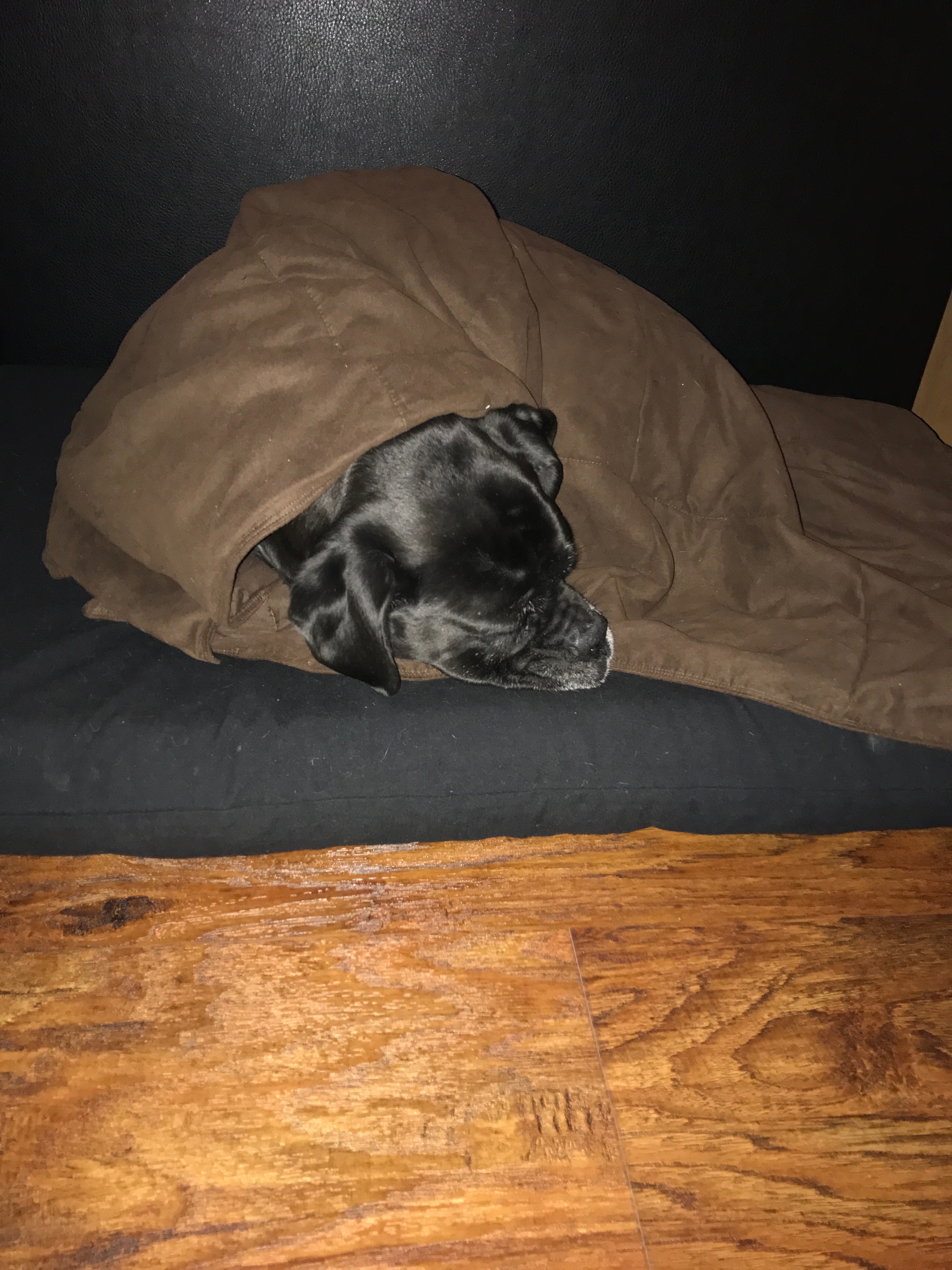 0904567f-6c02-4fb1-a9cc-53c18f19c404