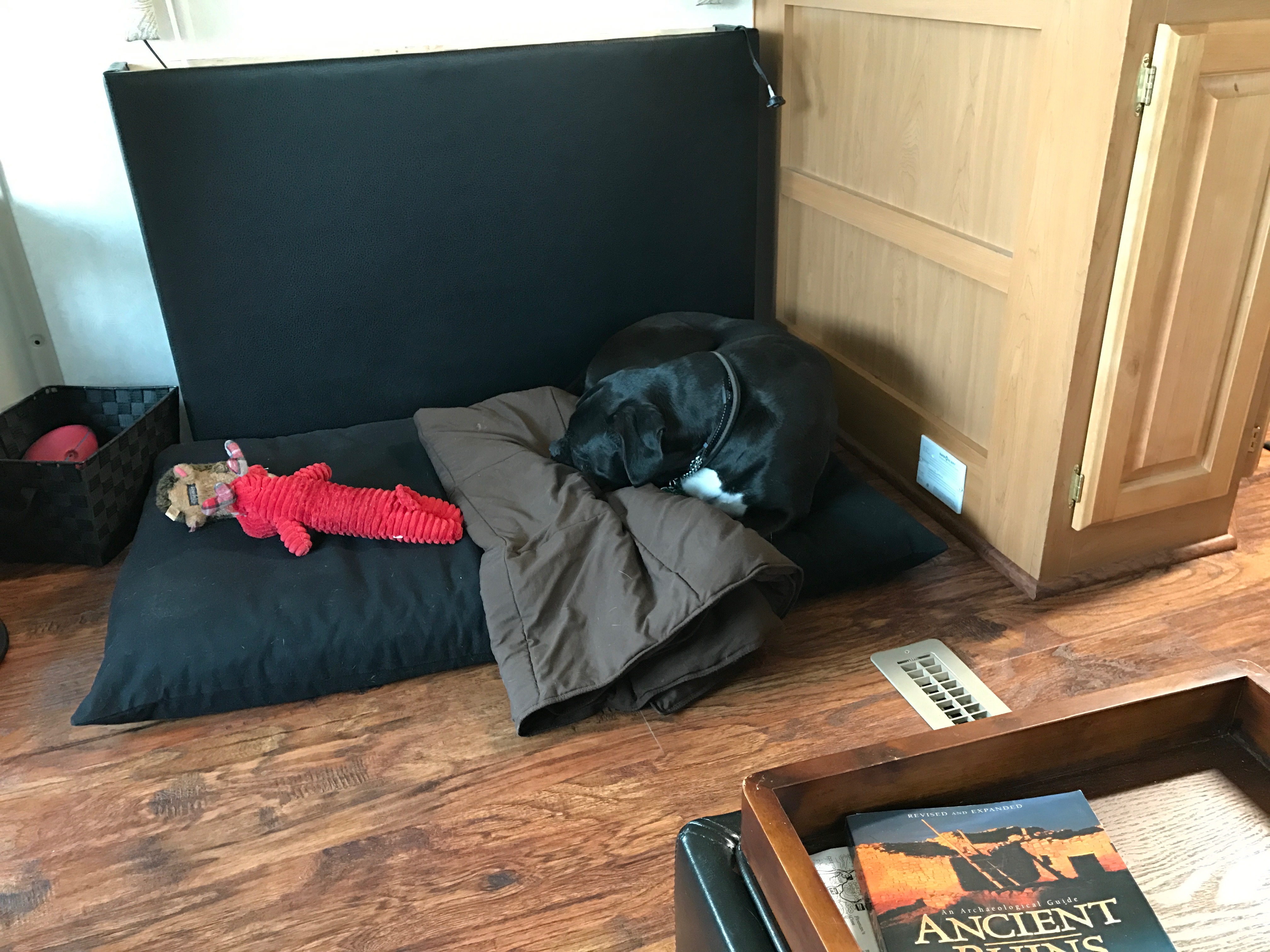 4316a7a1-a9e6-49fd-96e1-578288f50027