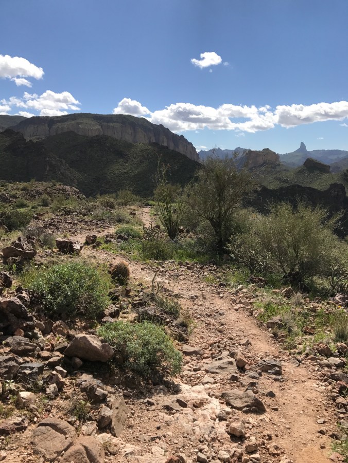 266A4C4C-03EB-4589-959B-CEF0170CB2D0