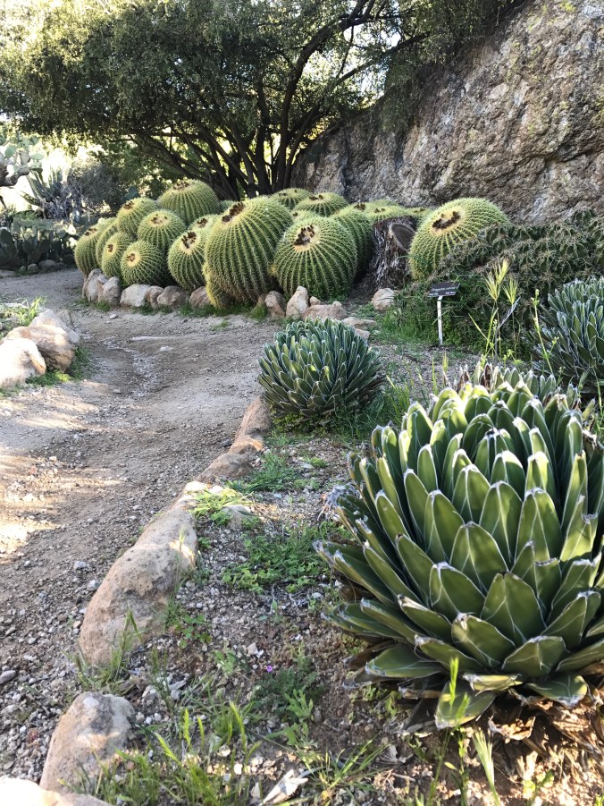 64AA51E7-0D44-4265-AEF3-7F733E882A0E