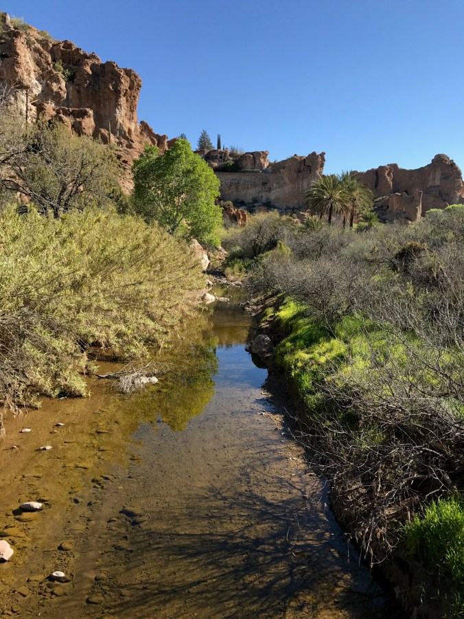 794CF716-A701-4C58-9BC2-1851FEBDE503