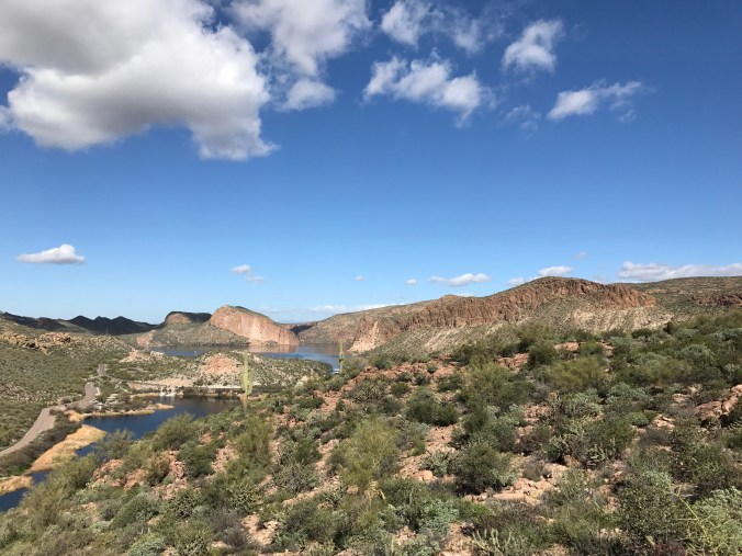 A8B5B9E3-E941-4F30-B8DC-4BA1D39D307C