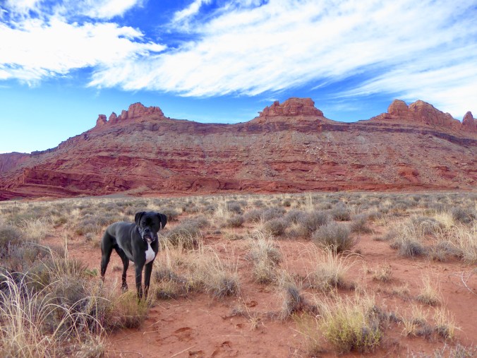 02A85F40-F0D5-4322-A556-B8F42A6D42A0