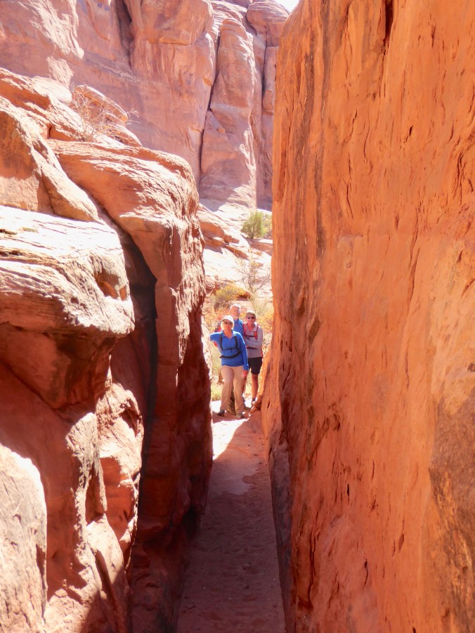 0E8D5D41-80EB-4262-9BC9-F4E86FB816DC