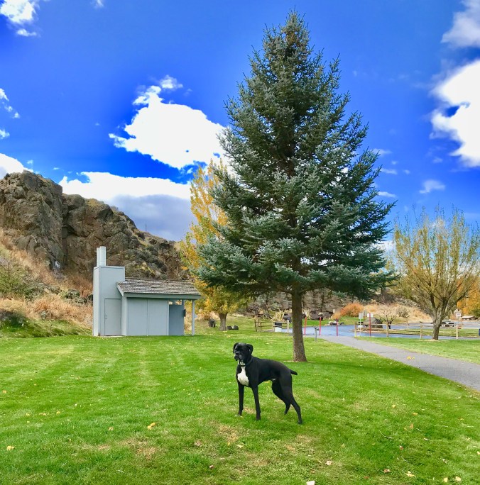 489FD631-D101-4A27-8769-66597B05BDEE