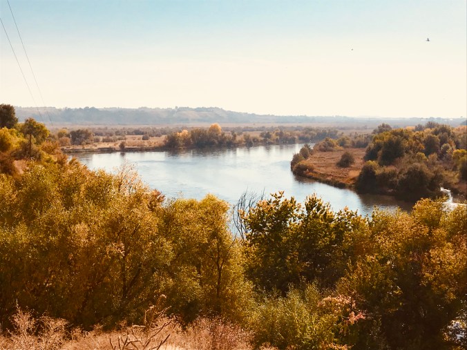 5B21C9B3-2560-4A68-A4BA-EB12C3841639