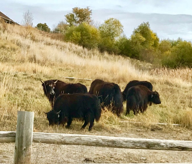 7087A0F3-E289-4765-B861-BC93F5221357