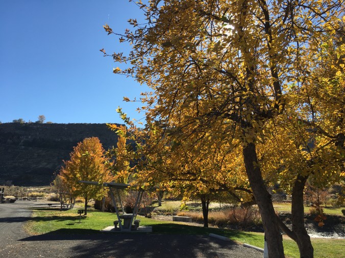 744A9FDD-FEB6-4175-9504-6AF49B939EDD