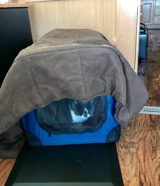 B0BA00E9-2CBE-4434-9601-923FF2460244