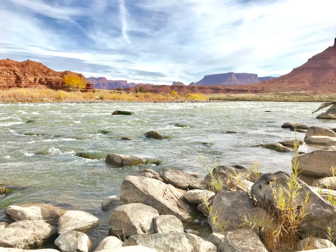 0BE060D9-7E05-4C8A-8473-779B11CAB8A2