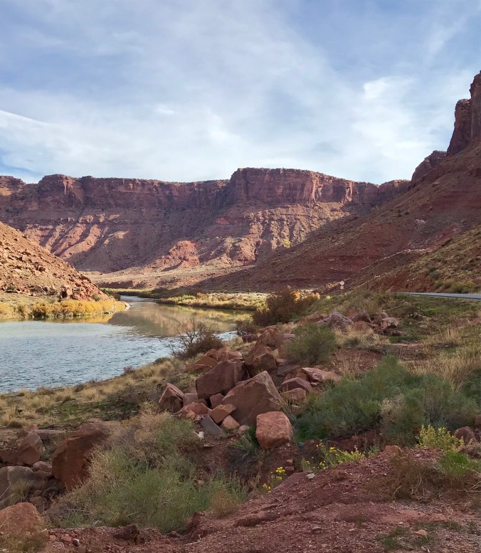 0C1419C6-5294-4208-8EA6-DBD8CC3C668D