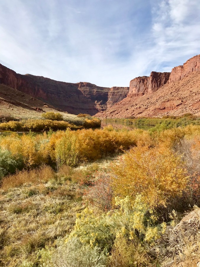 54C208D9-523B-4EFC-8655-97FF1946A4F1