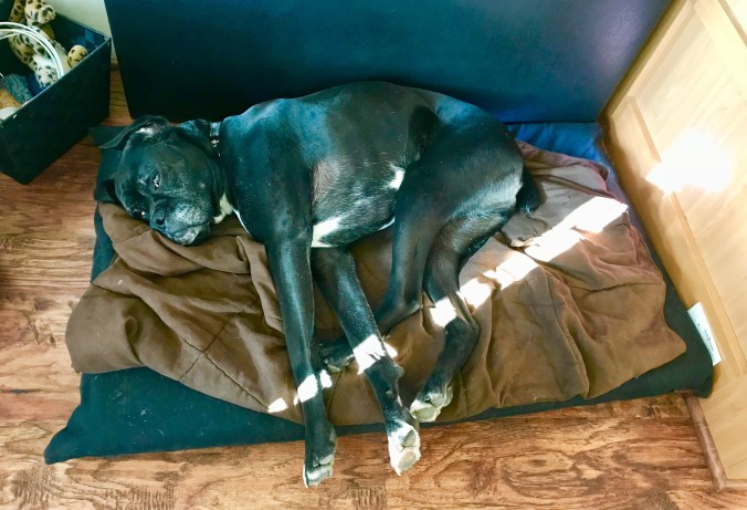 D5C0E0CD-D73A-4545-883A-BD1F4C25BF7D