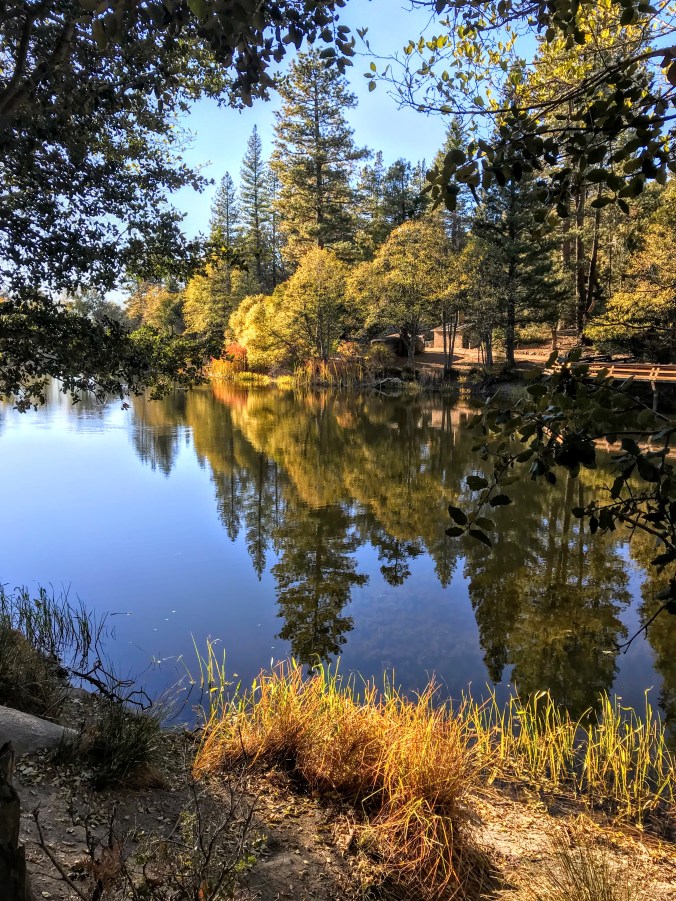 F7305744-B244-4703-BB32-8AAA185F6B50