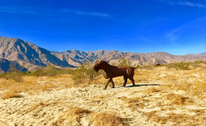 014DCC67-54AA-4C43-8B40-8055AAE6AE7D