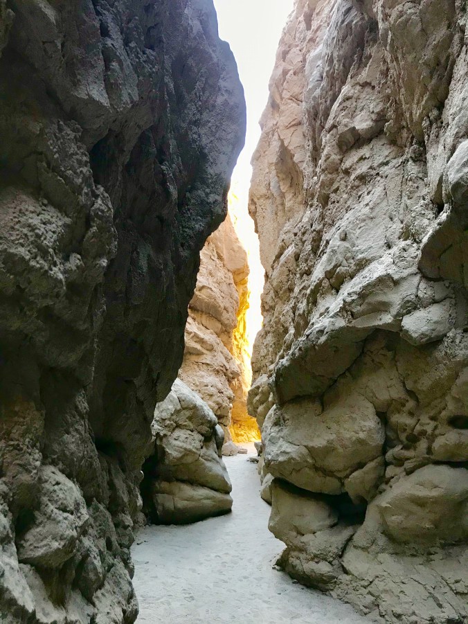 1B84234F-99BD-44C7-9A6B-FE0105B02117