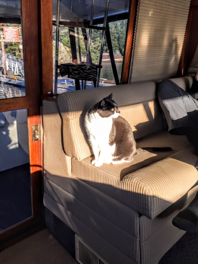 97CEAF5C-6DA8-4A5B-9150-6E53DAE6AB18