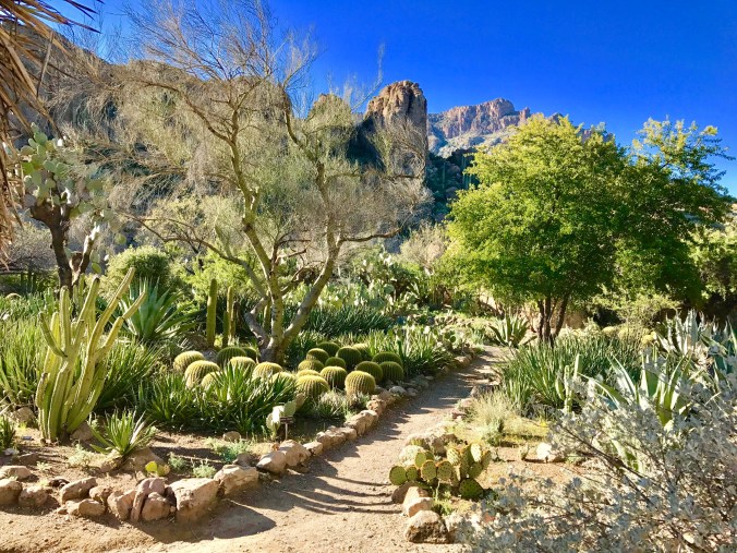 B2AE2CD2-BFC3-470E-91BA-9E485A0C43F5