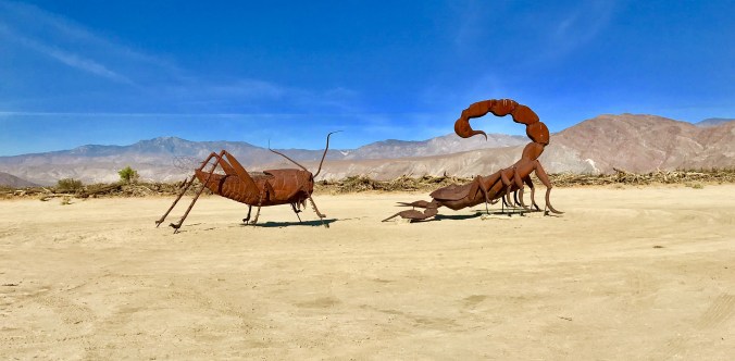 DFB2D209-8B77-41B5-A6B6-C972D4BC0462