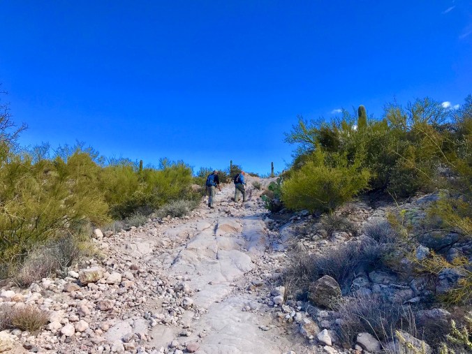 1AD515F6-9171-4CF7-BDBE-CC1D35C917BA