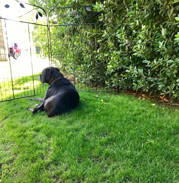 495D512F-2F32-4DDA-A945-87FE66A94061