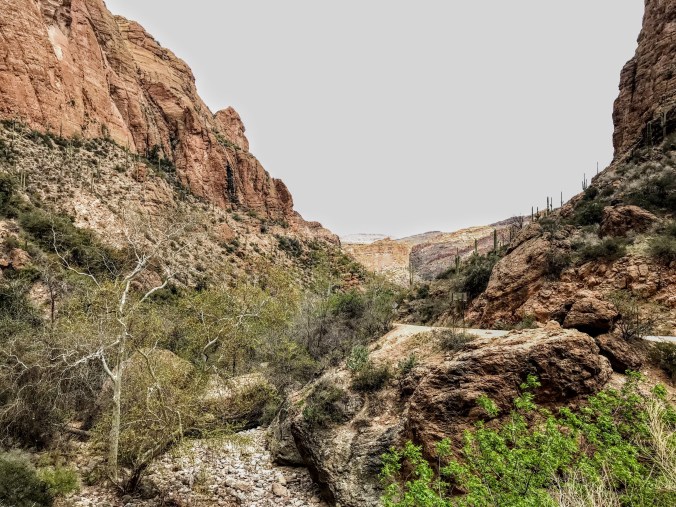 68FABD01-531F-497C-AD91-1ED35A965DE7