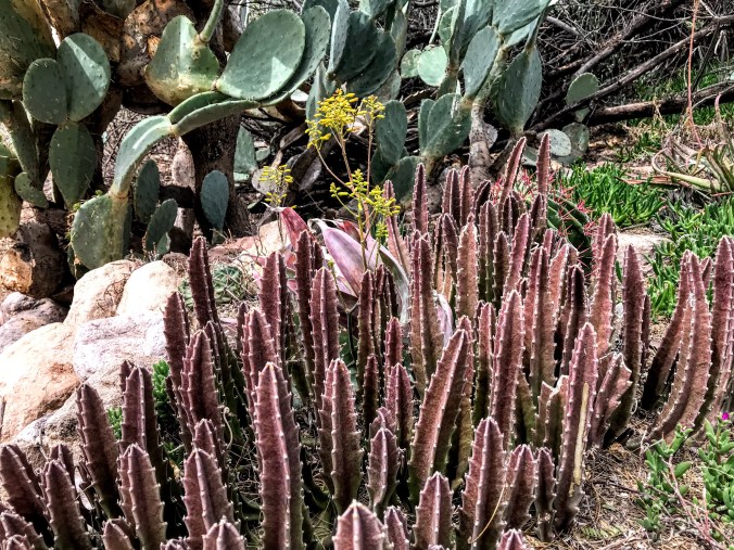 BD15B3AF-0DC7-4D8F-A59E-4139AC246A81