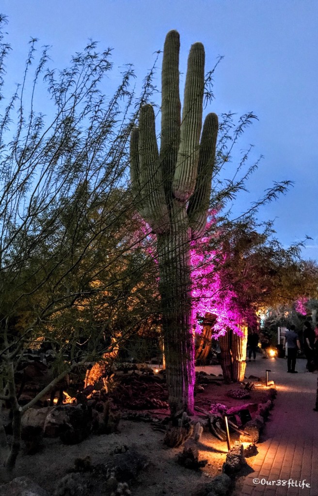 23B1D890-7BCD-4B22-9B10-EA0012FEBB21