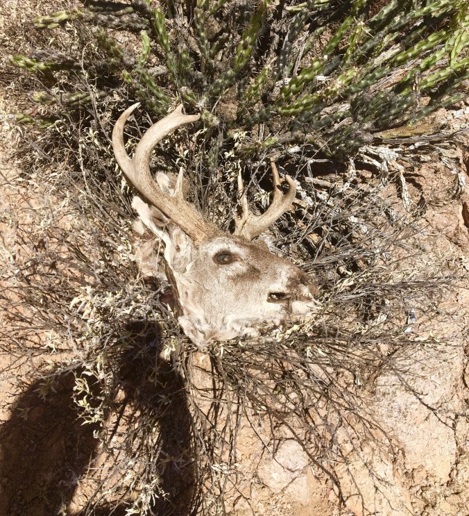 2BB09E9B-63EE-44A3-99E2-8449DC50AE73