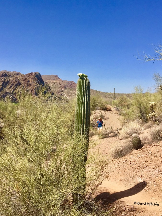 CF8AFEAD-06A3-4EE5-8079-17817404534D