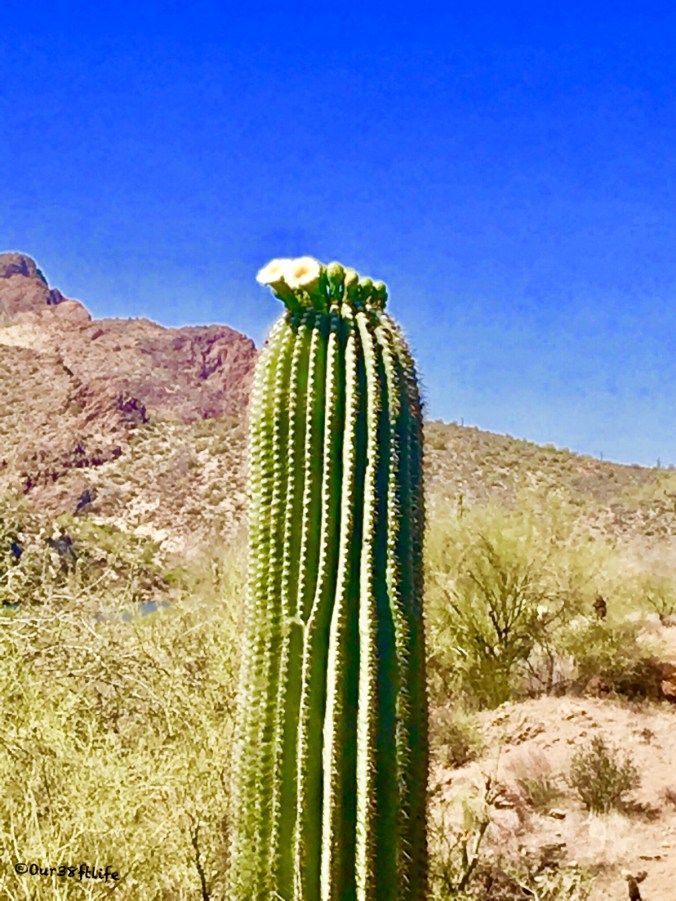 F04BDB1C-300A-465F-A485-45EC76394FAF