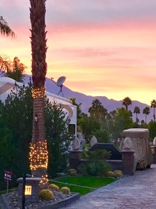 1ED07A4D-3274-42B5-B4FB-3211C019B5F7