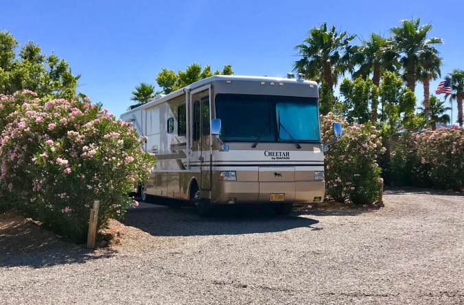 7DCD38F5-39EA-47AE-A7E0-2FE367D17386