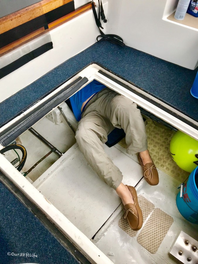 29787746-B685-44ED-8D46-3745514615C9