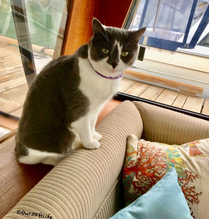 329B6962-243A-4CFF-ABCA-EB4F1D4E96B4