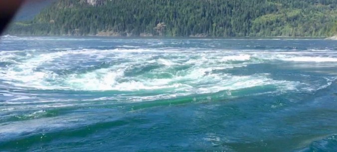 7F93C2A1-ED7C-4527-82A8-1D3861539804