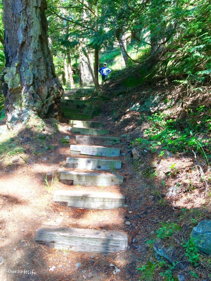 97D11BFE-BCF1-4F1C-A412-BB5930D204F5