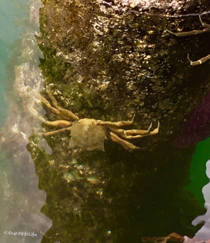 B0907629-E6B3-4C5D-A57C-6B7381159F7D