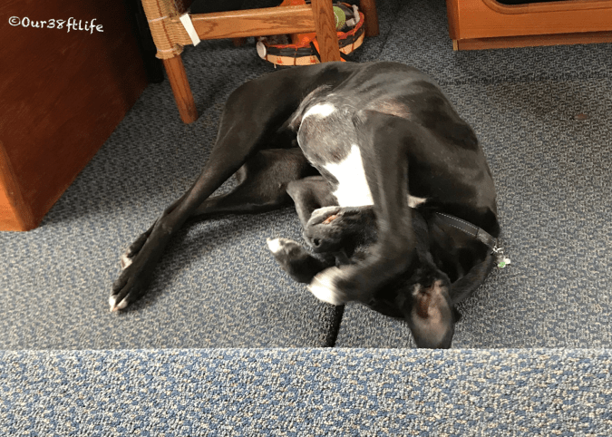 C044FF7D-C961-4A8A-9436-77E7F342E709