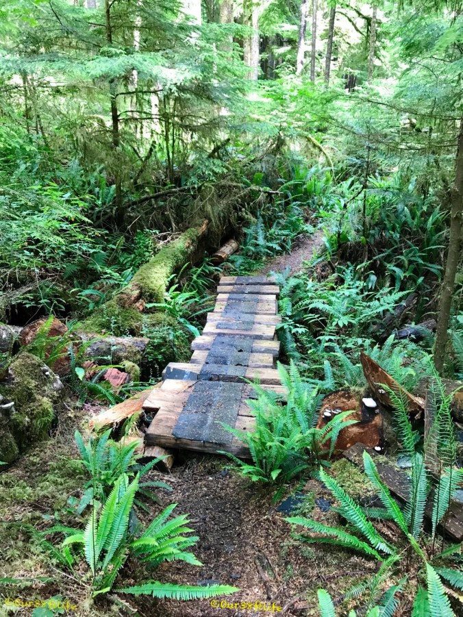 D4FC843B-D050-4D68-8541-89354723BDBD