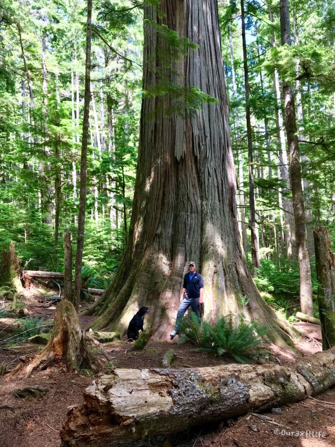 D9AD57D1-6F7C-4D66-B9BC-610DA43276E6