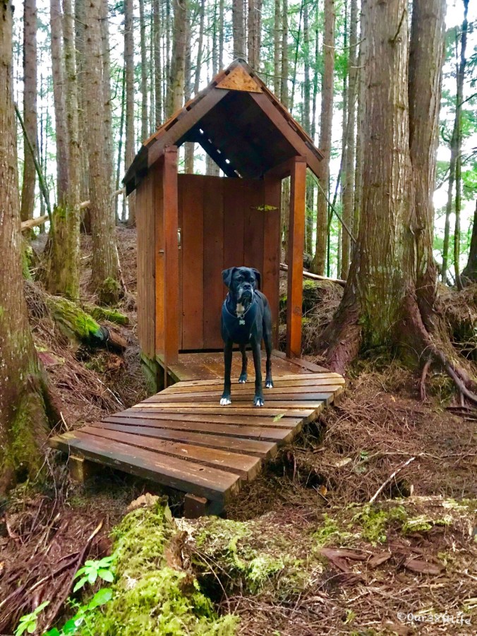 13C3703D-78F1-4A10-BD13-47CD63911B1C