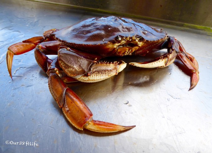 18D20662-5B2C-40BF-85E6-0645CEBA098A