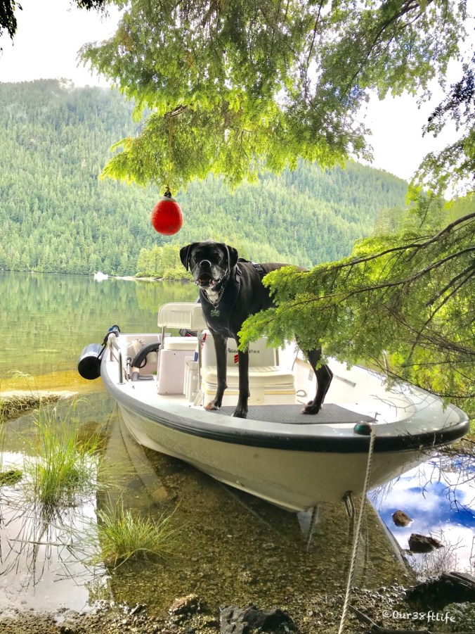 32EF4A48-491D-4839-A9D7-6716C6E65CF1