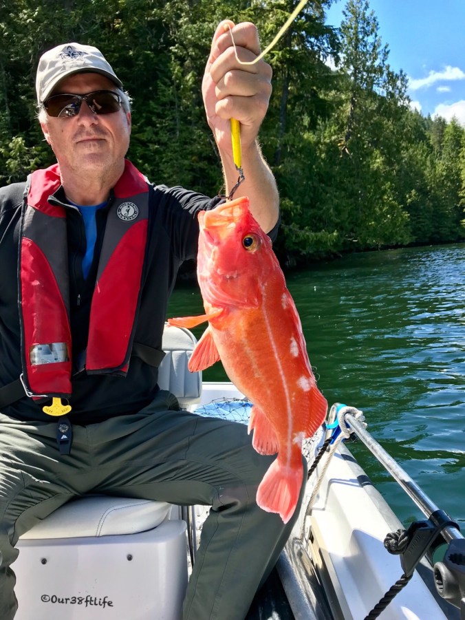 505FA757-4C0B-4AB4-93F3-3F384E5EEA82