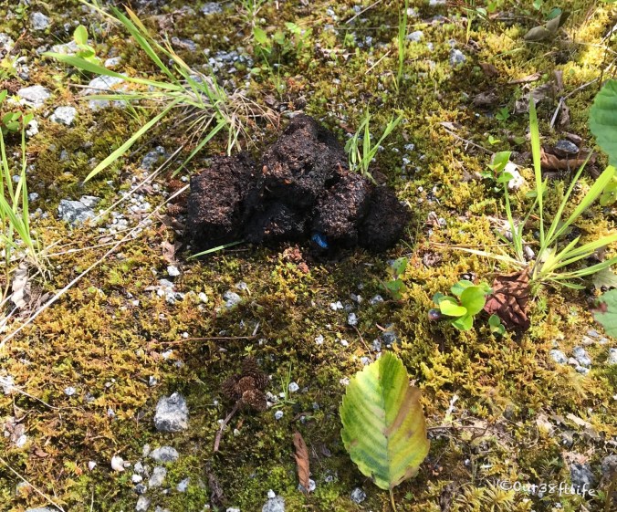 516BE137-AF7D-4747-92C9-6AFE3962F3EA