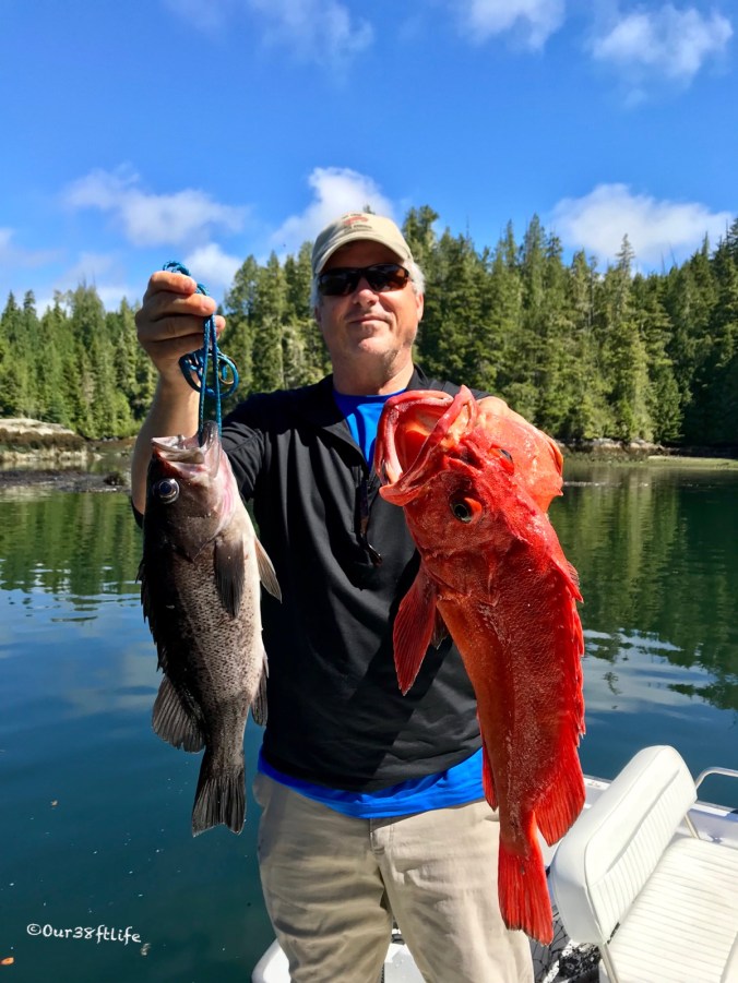 8E8A1655-F06F-4A69-8D50-0B7CA8D5C83B