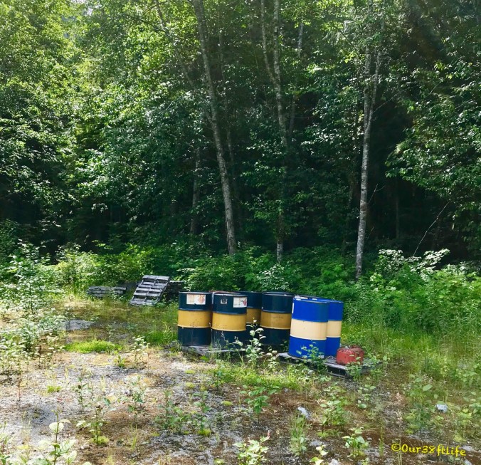 C989A043-1468-4567-B2DB-B4652612FE39